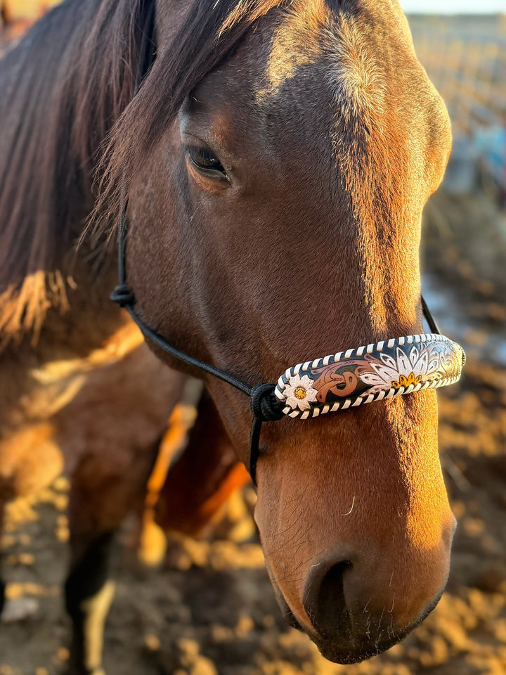 Myra Tooled Leather Horse Halter | gussieduponline