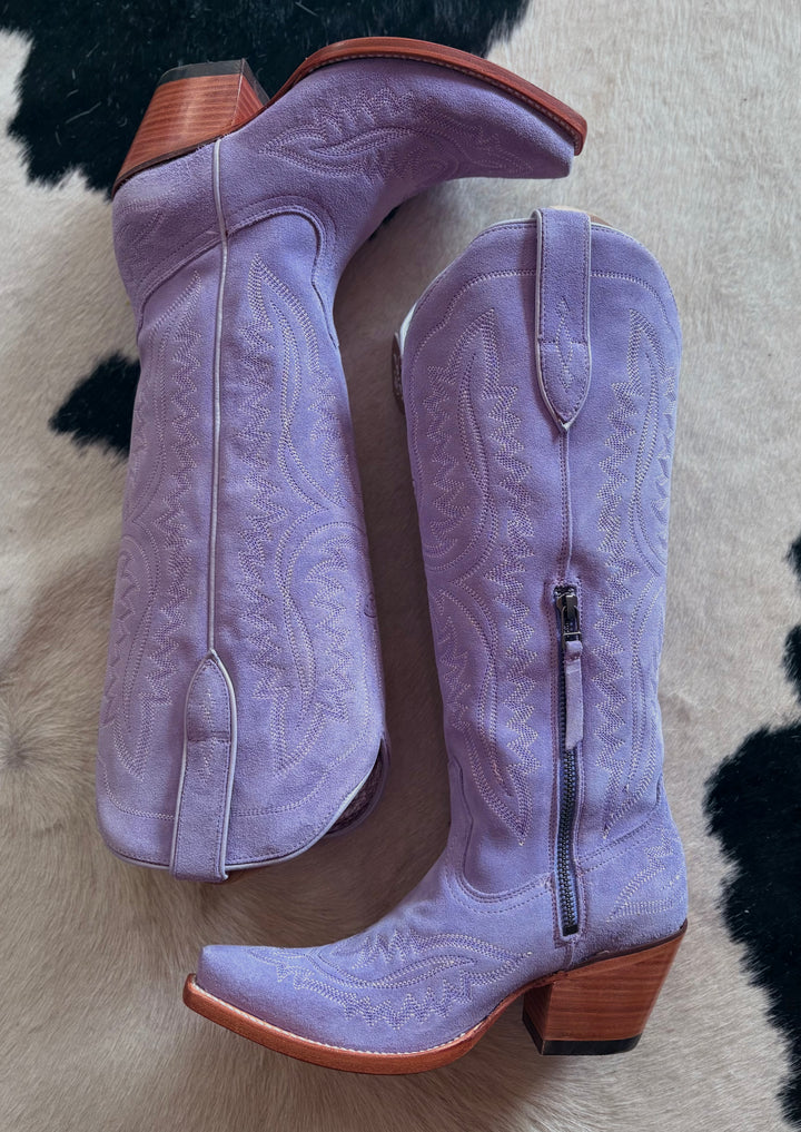 Women's Ariat Purple Casanova XToe Boots