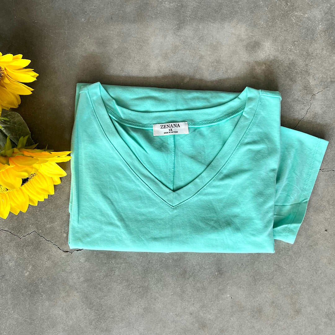 PLUS Basic Short Sleeve V-Neck Tee | gussieduponline